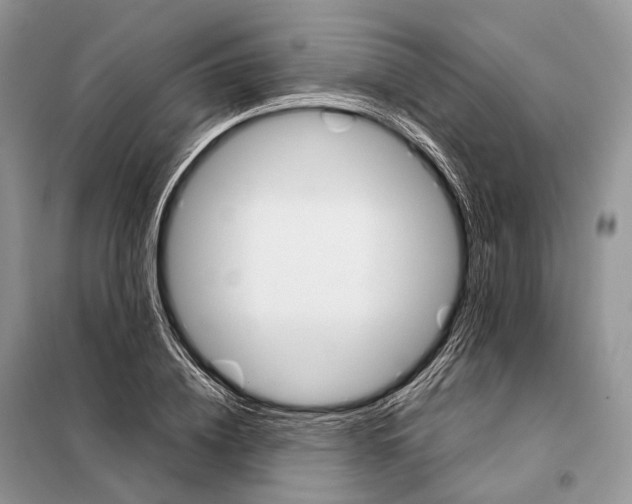 X0000097920836200804111138