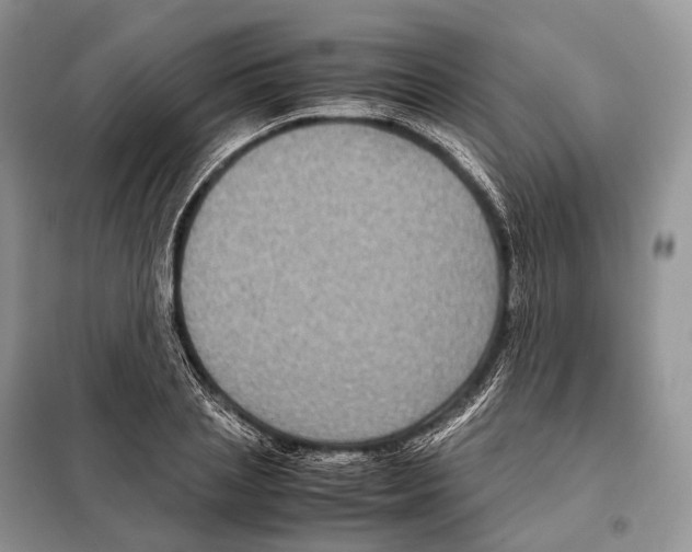 X0000097920837200804111138