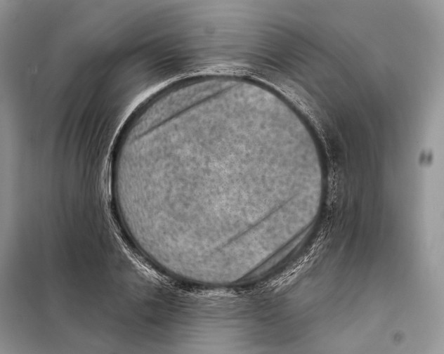 X0000097920838200804111138