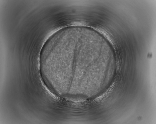 X0000097920839200804111138