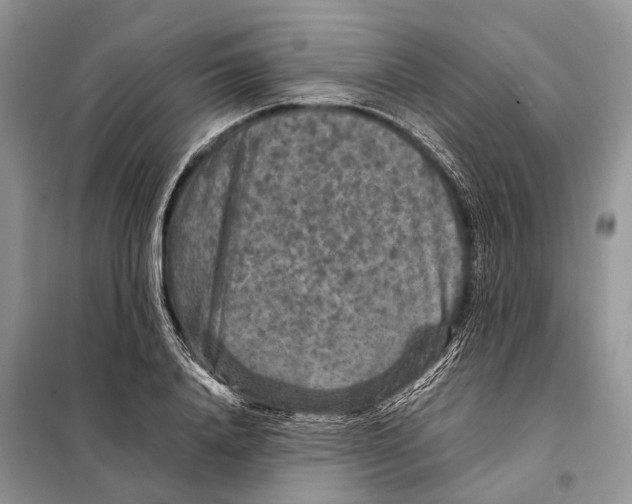 X0000097920840200804111138