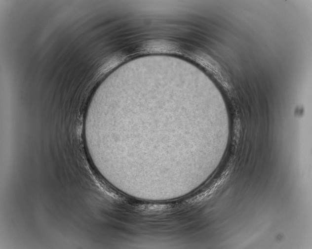 X0000097920841200804111138