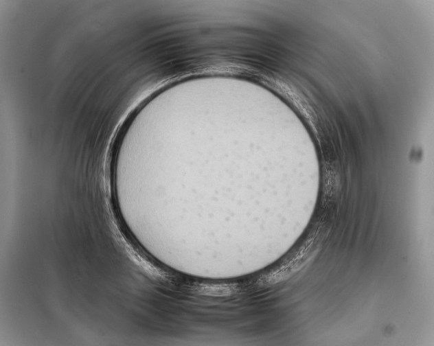 X0000097920843200804111138