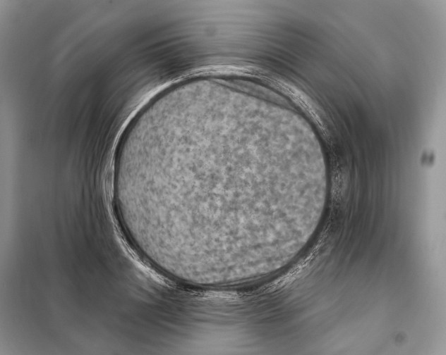 X0000097920844200804111138