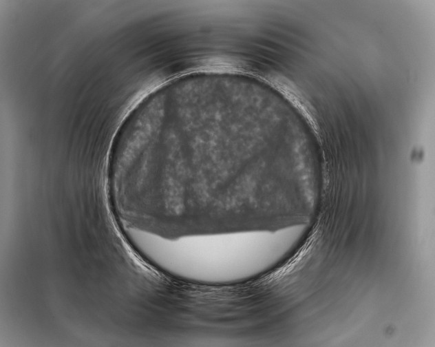 X0000097920845200804111138