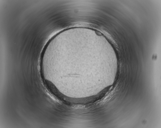 X0000097920846200804111138