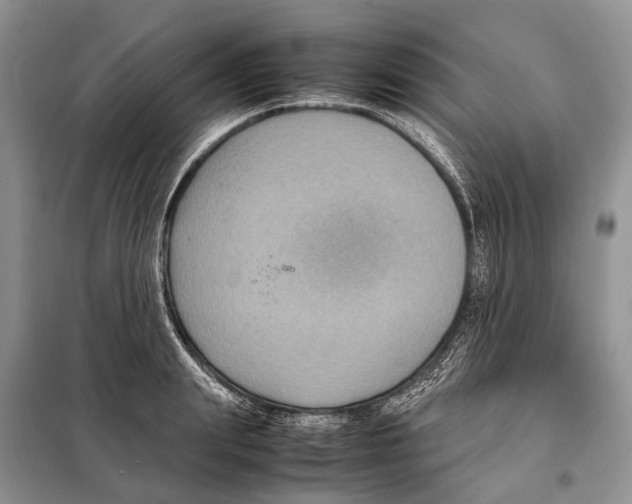 X0000097920847200804111138