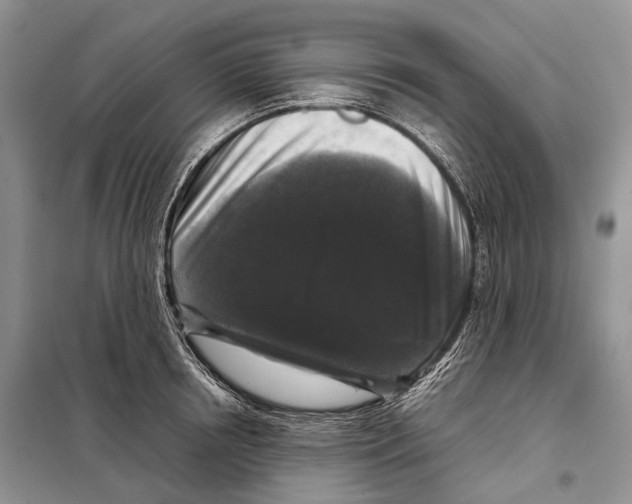 X0000097920850200804111138