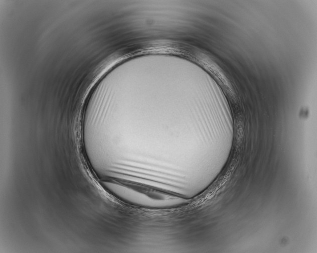 X0000097920852200804111138