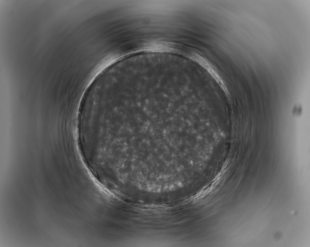 X0000097920853200804111138