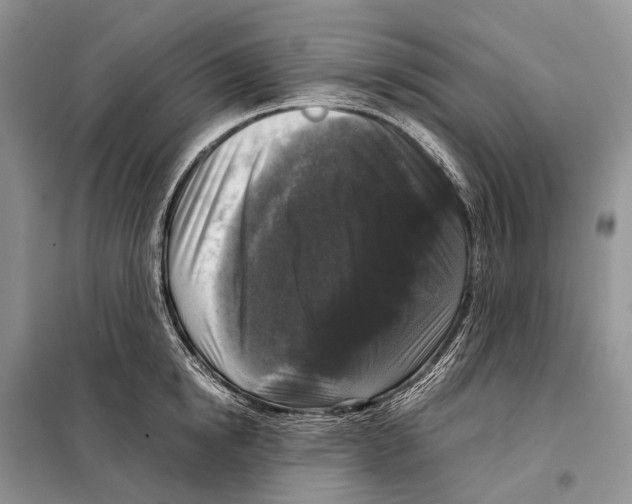 X0000097920854200804111138