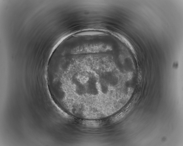 X0000097920855200804111138