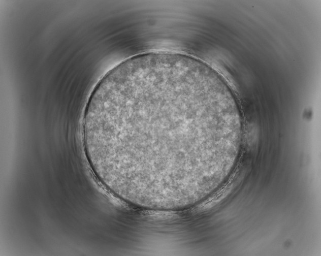 X0000097920856200804111138