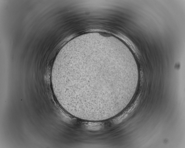 X0000097920857200804111138