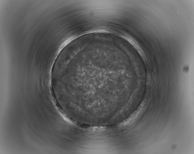 X0000097920858200804111138