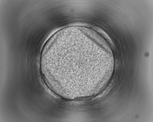 X0000097920860200804111138