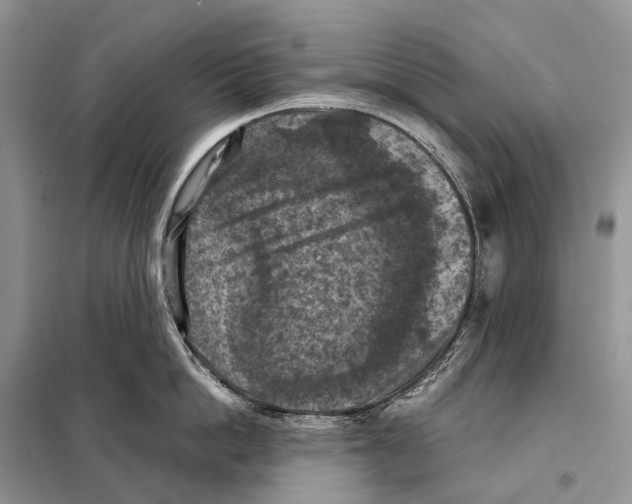 X0000097920862200804111138