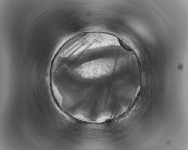 X0000097920863200804111138