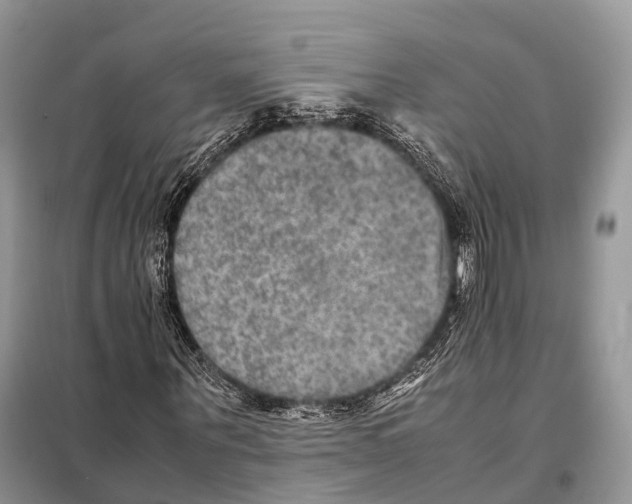 X0000097920867200804111137