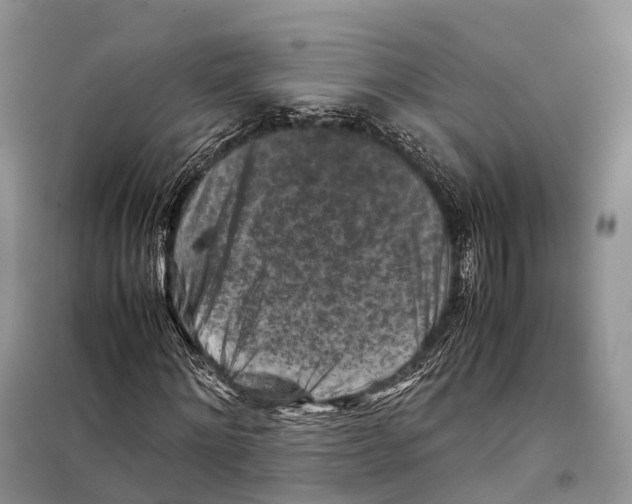 X0000097920868200804111137