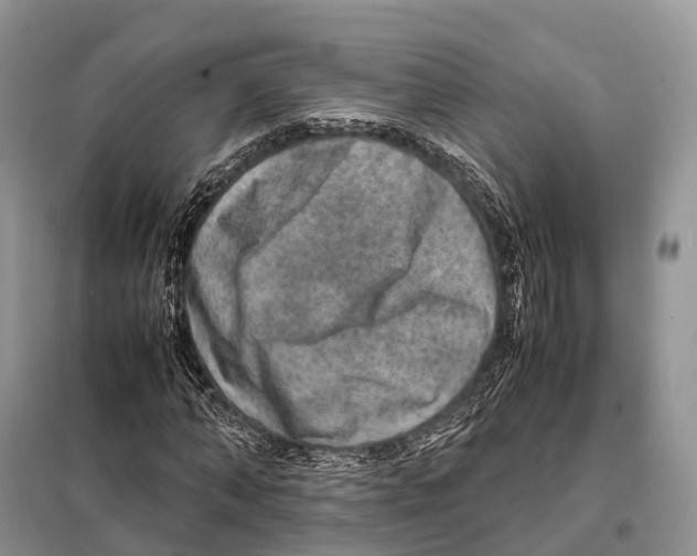 X0000097920870200804111137