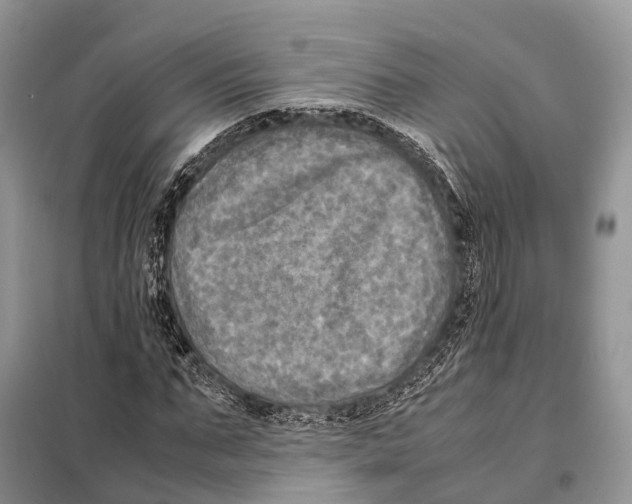 X0000097920871200804111137