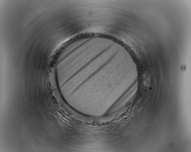 X0000097920872200804111137