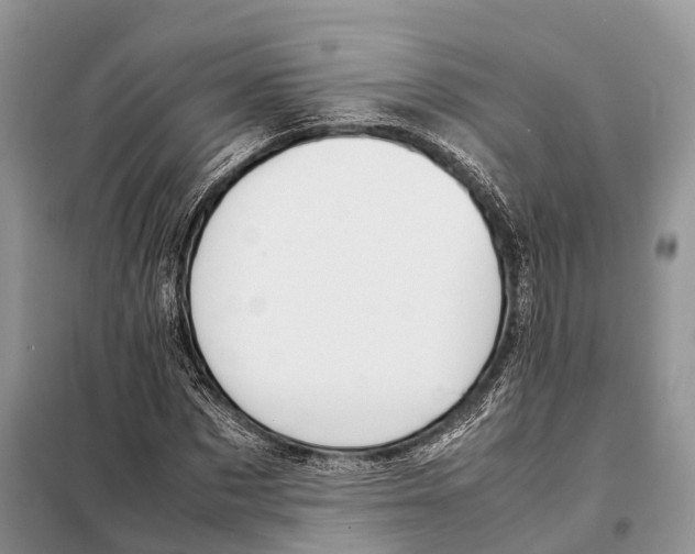 X0000097920873200804111137