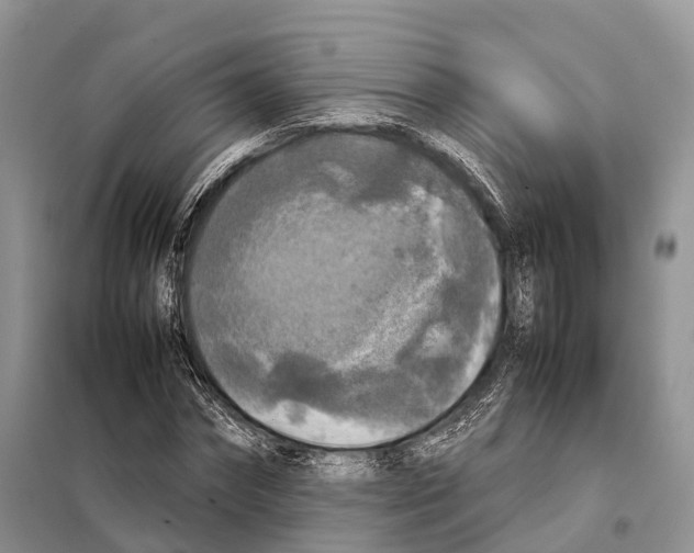 X0000097920874200804111137