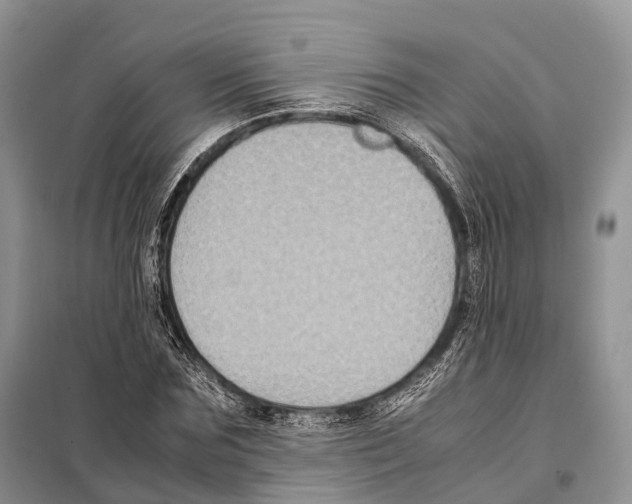 X0000097920875200804111137