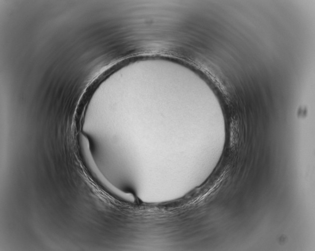 X0000097920876200804111137