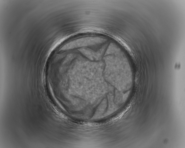 X0000097920877200804111137