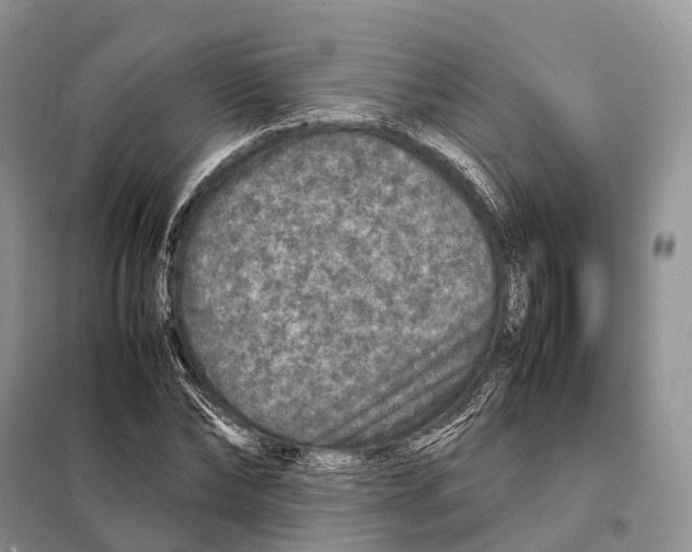 X0000097920878200804111137