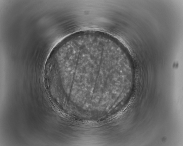 X0000097920879200804111137