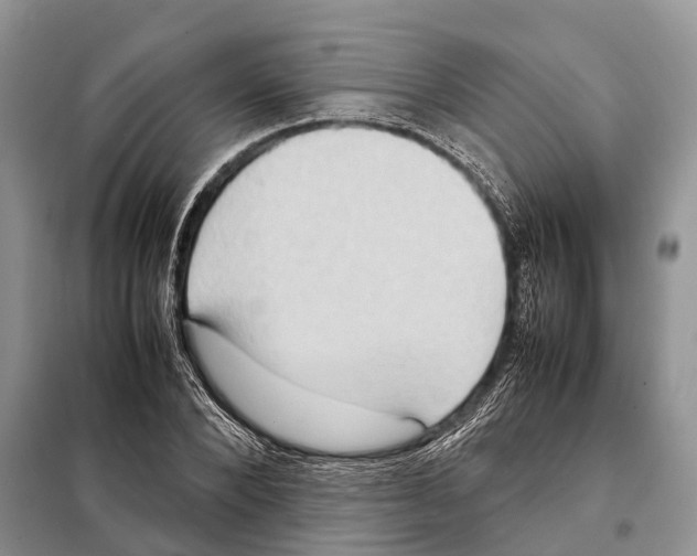 X0000097920880200804111137