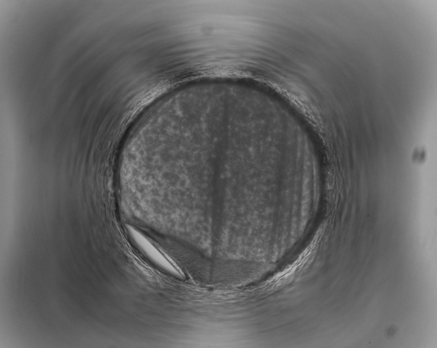 X0000097920881200804111137