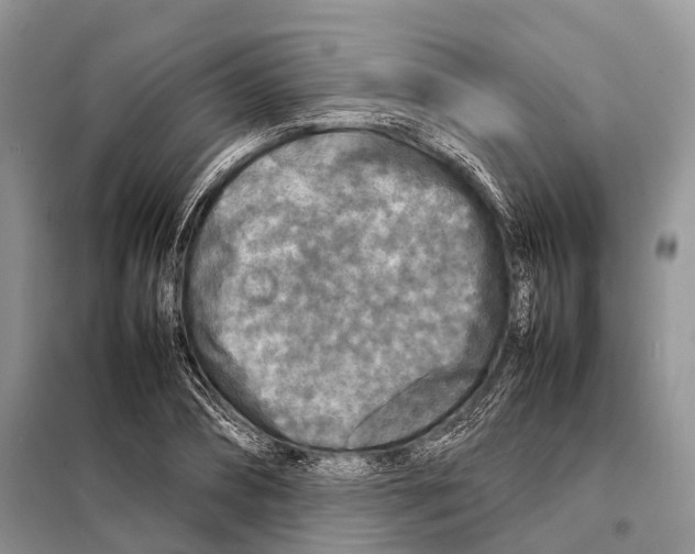 X0000097920882200804111137