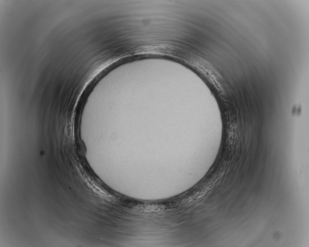 X0000097920884200804111137