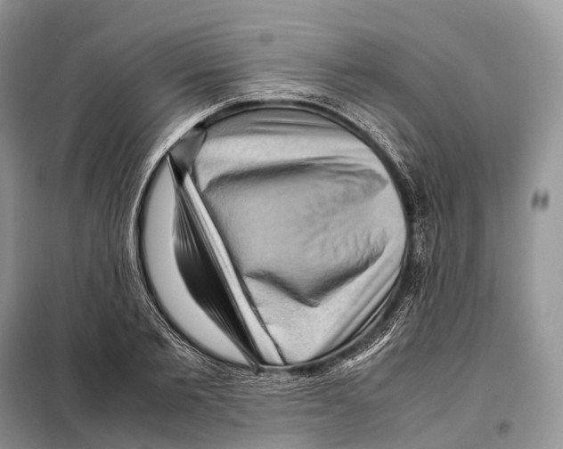 X0000097920885200804111137