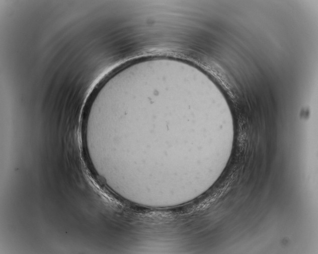 X0000097920888200804111137