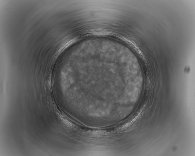 X0000097920889200804111137