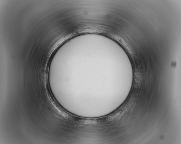 X0000097920890200804111137