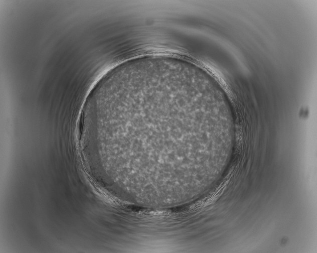 X0000097920891200804111137