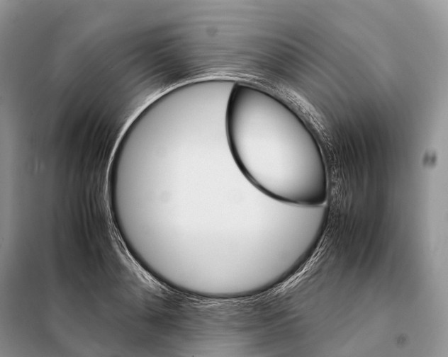 X0000097920892200804111137