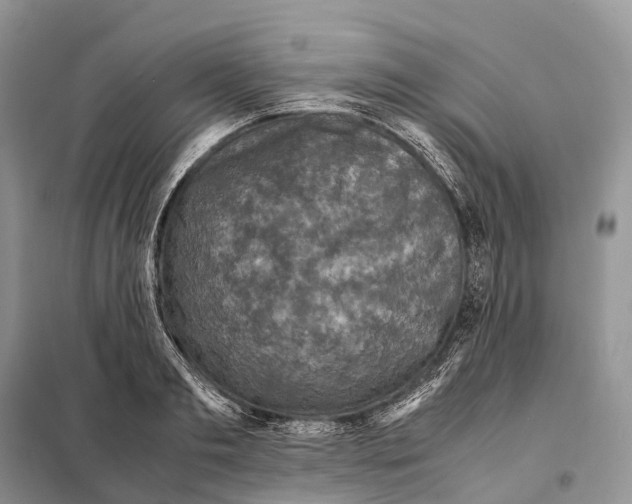 X0000097920893200804111137