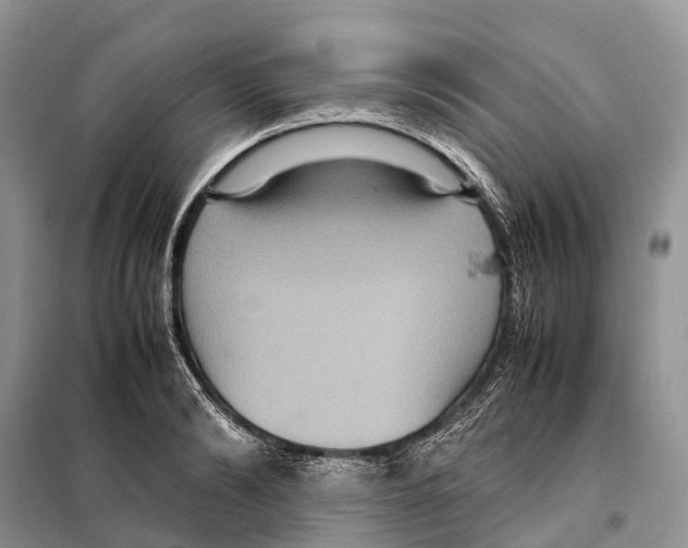 X0000097920894200804111137