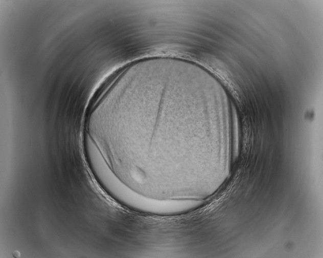 X0000097920896200804111137