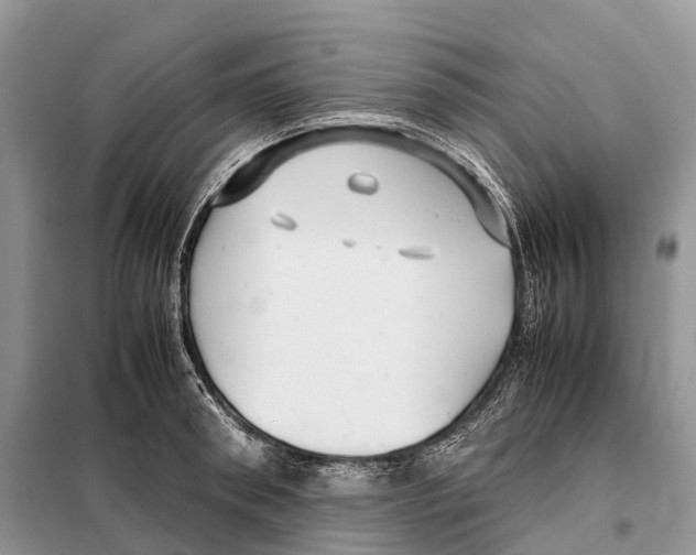 X0000097920898200804111137