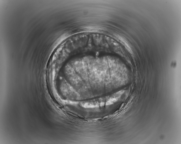 X0000097920899200804111137