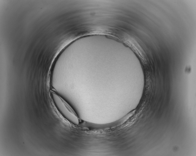 X0000097920900200804111137